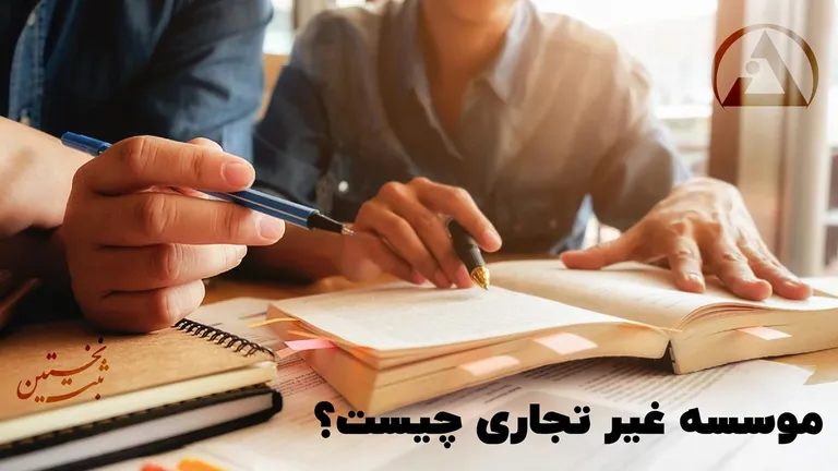 موسسه غیر تجاری چیست