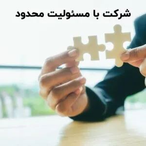 شرکت با مسئولیت محدود