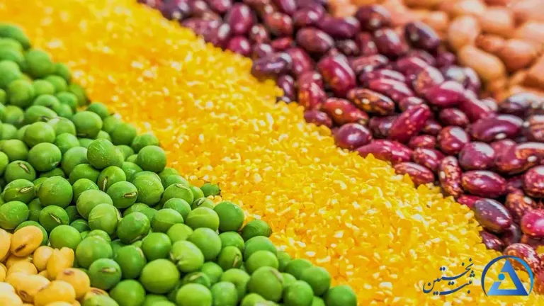 طبقات برند مواد غذایی طبقات برند مواد غذایی